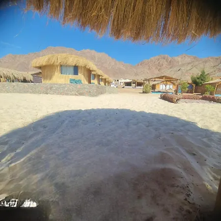 Viva La Vida Beach Camp
