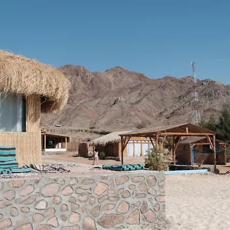 Viva La Vida Beach Camp