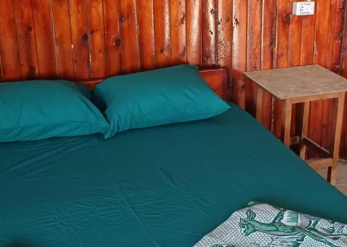 Viva La Vida Camp