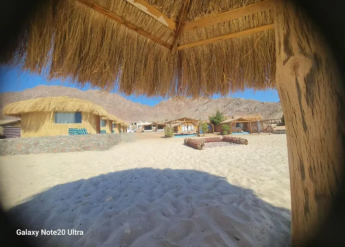 Viva La Vida Camp فندق
