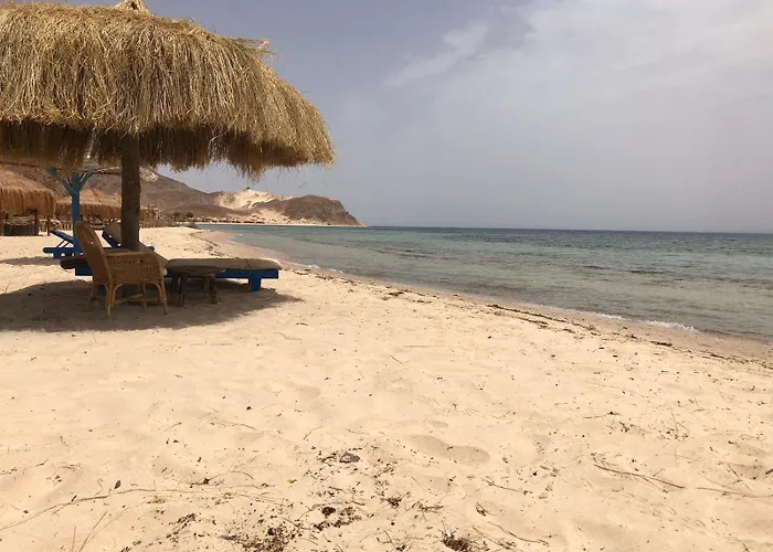 Viva La Vida Camp * نويبع
