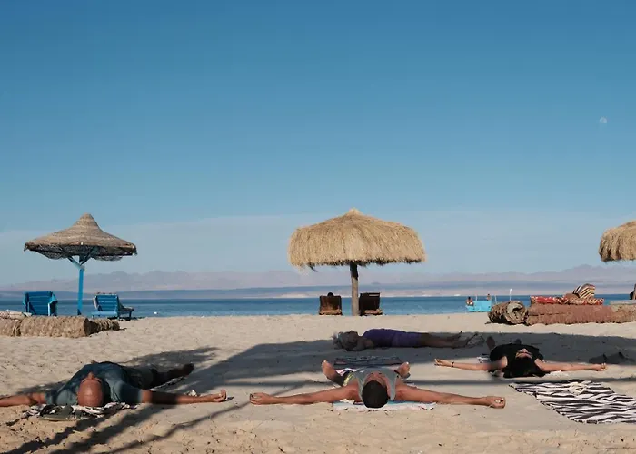 Viva La Vida Camp * نويبع