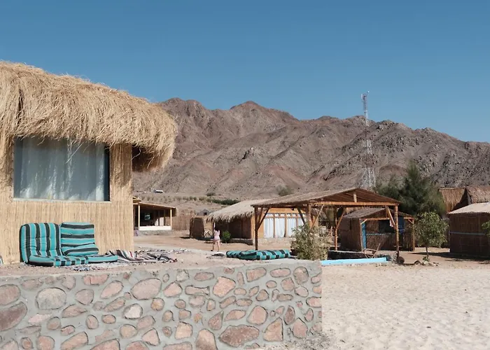 Viva La Vida Camp * نويبع
